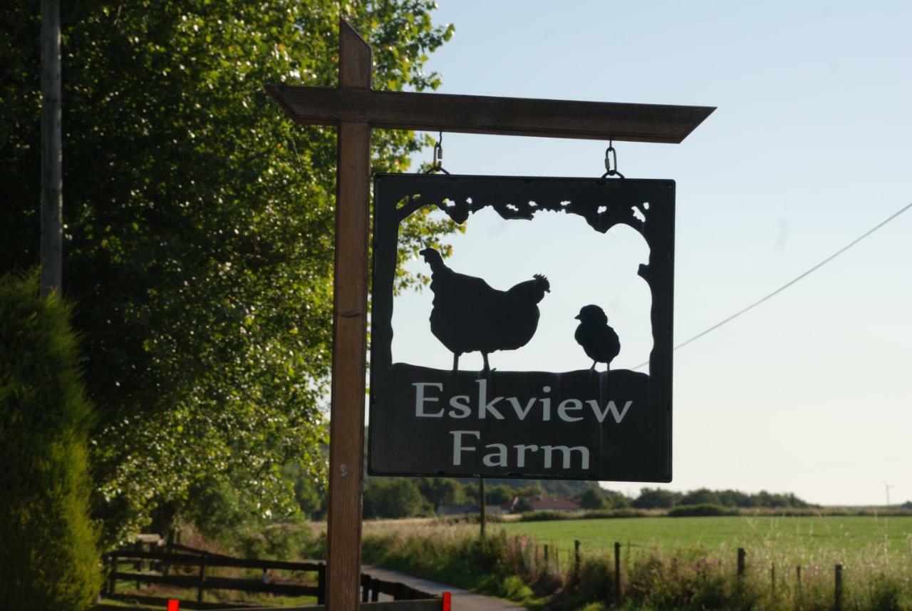 Eskview Farm Bed & Breakfast Montrose Luaran gambar